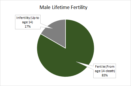 Male Lifetime Fertility