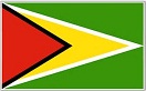 Flag Guyana